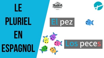 PLURIEL EN ESPAGNOL: Noms Communs